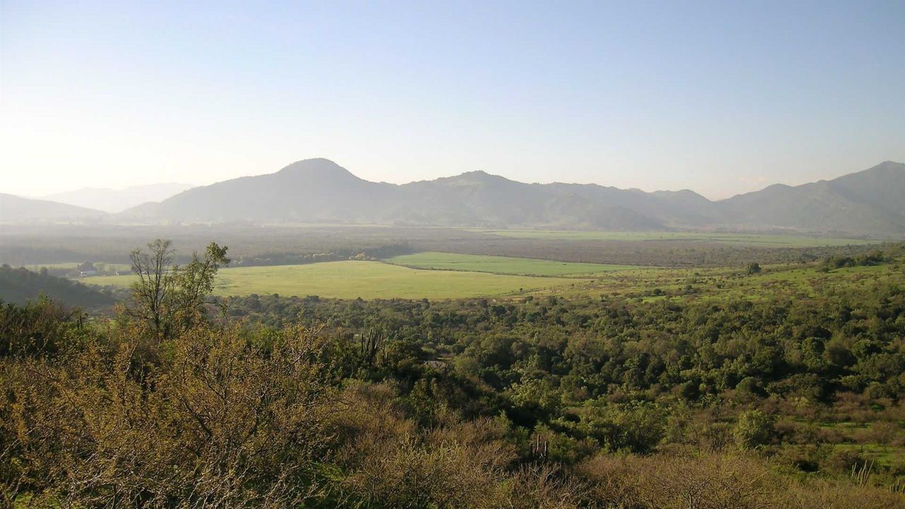 Hacienda Los Lingues