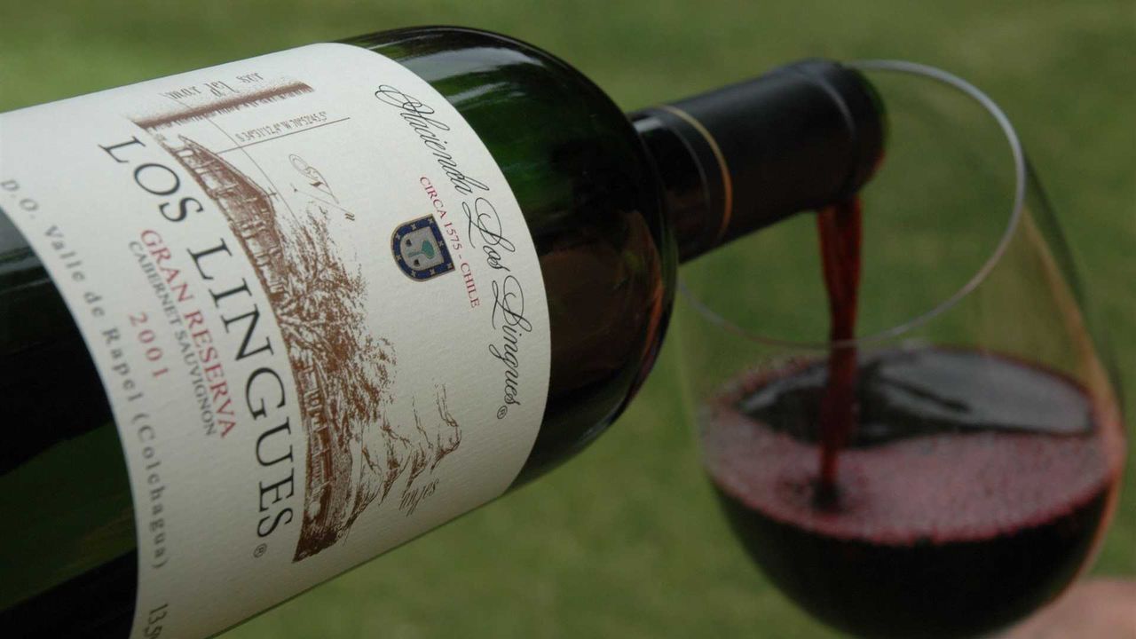 Hacienda Los Lingues