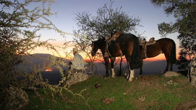 Santiago de Chile, Chile,Hacienda Los Lingues