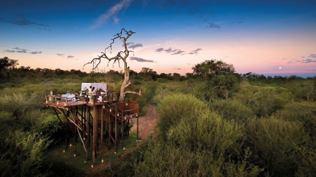 Sabi Sands, South Africa,Lion Sands Game Reserve