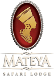 Mateya Safari Lodge Mateya Safari Lodge