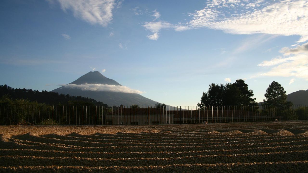 Filadelfia Coffee Resort & Spa