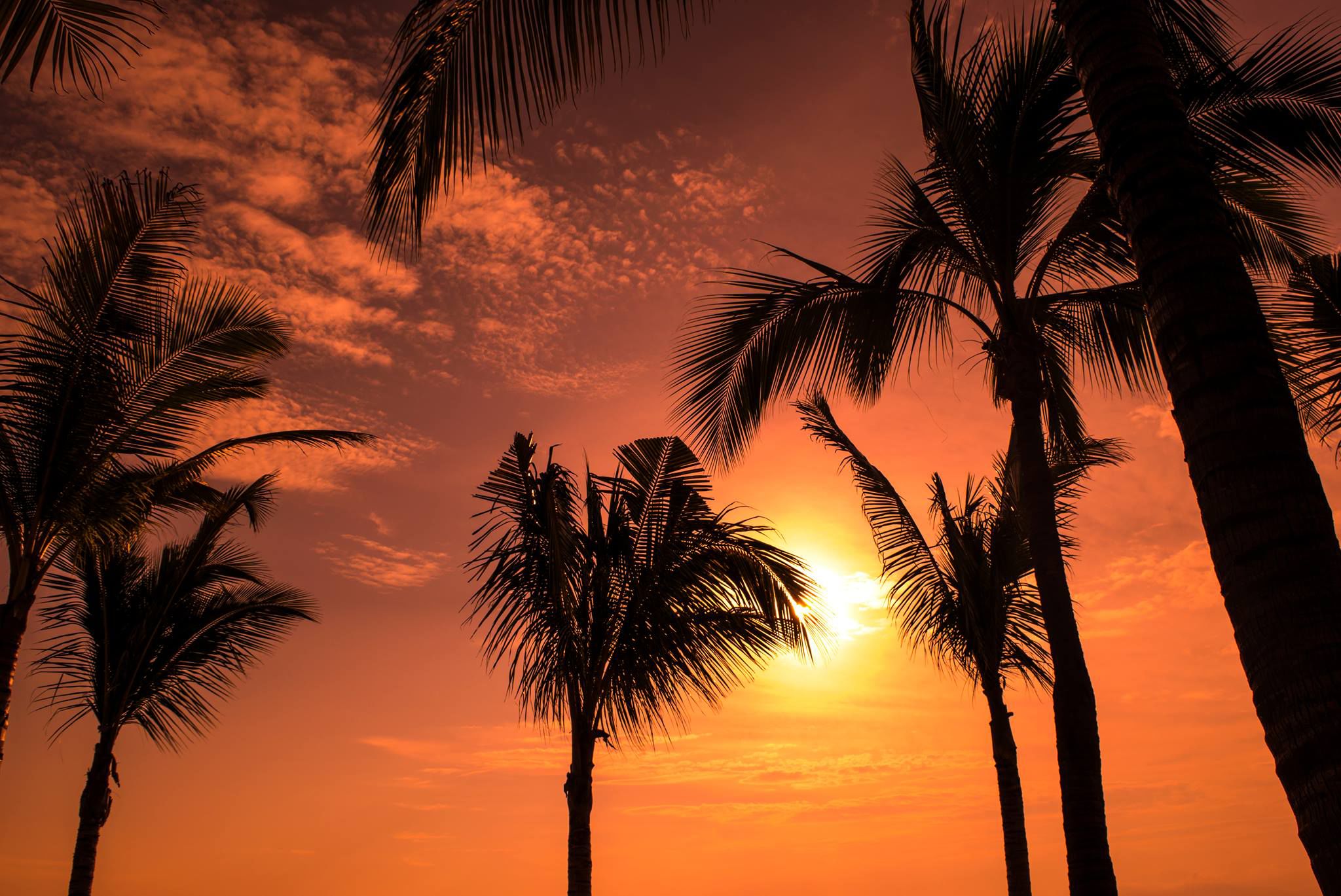 Vallarta Gardens Resort & Spa