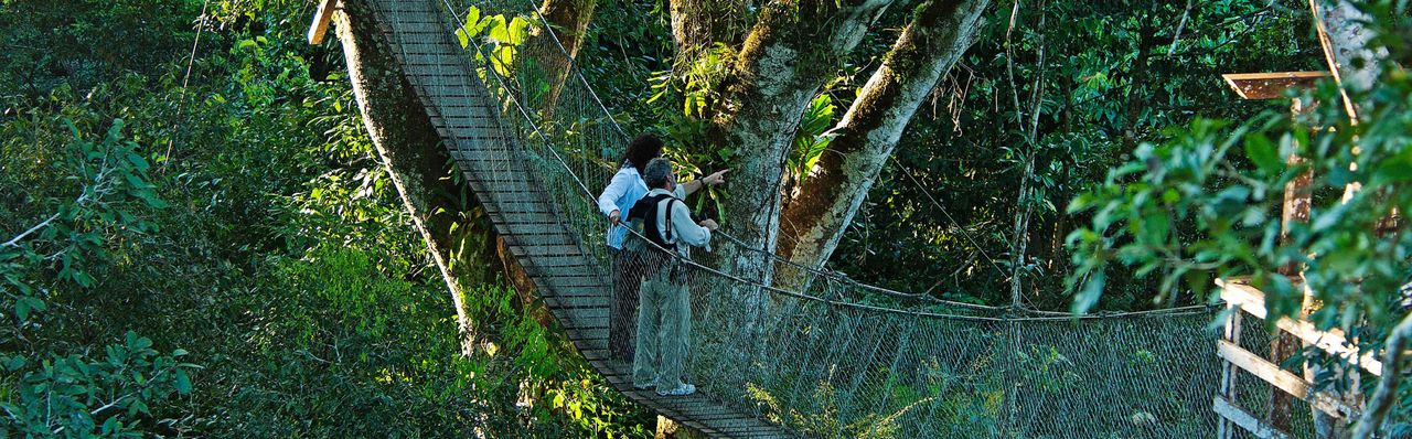 Inkaterra Reserva Amazonica