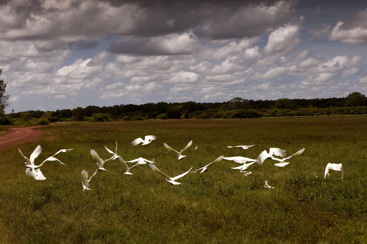 Wildman Wilderness Lodge