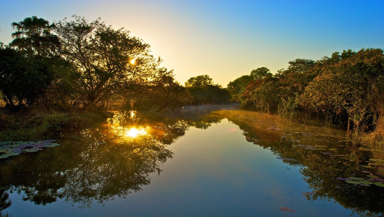 Wildman Wilderness Lodge