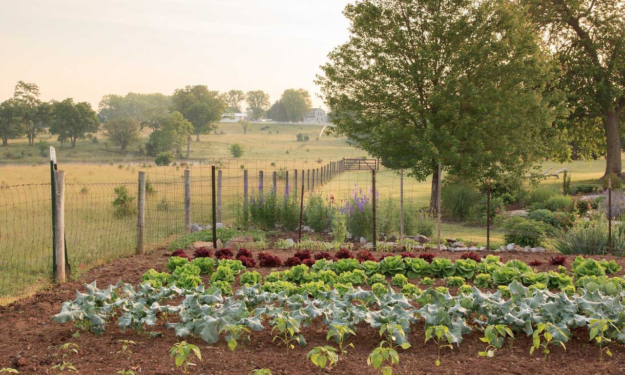 L'Auberge Provencale