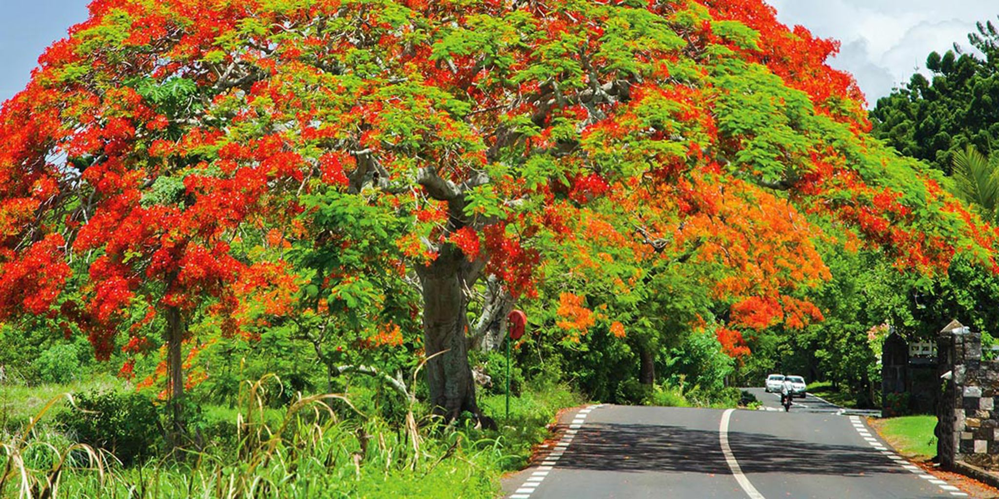Sainte Anne Resort and Spa