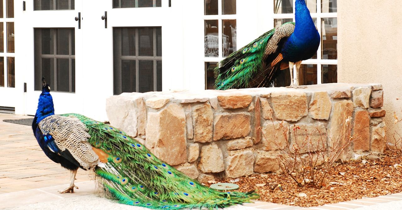 Los Poblanos Historic Inn & Organic Farm