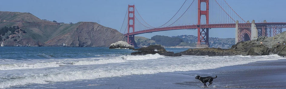 Hotel Zelos San Francisco