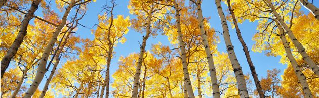 Aspen, Colorado,The Gant