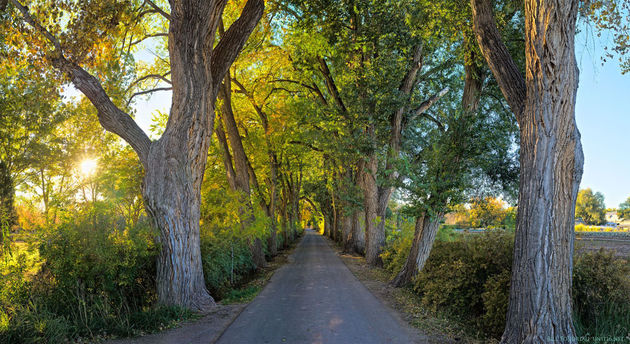 Los Poblanos Historic Inn & Organic Farm