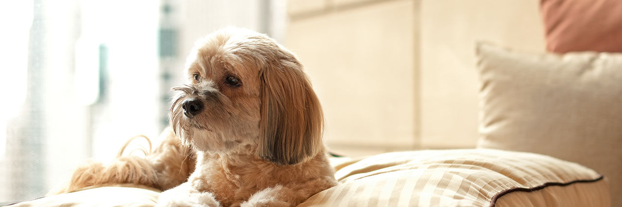 Manchester Grand Hyatt San Diego