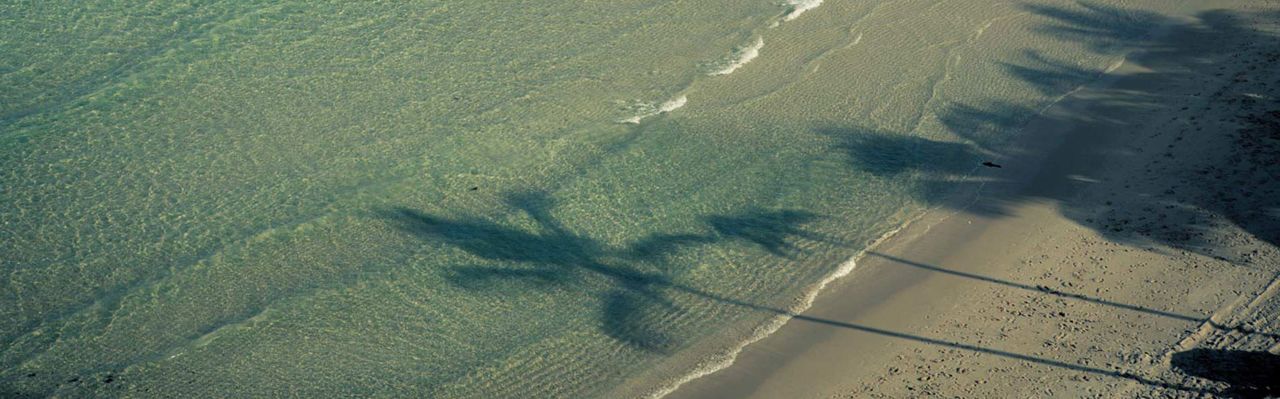 Pelican Grand Beach Resort