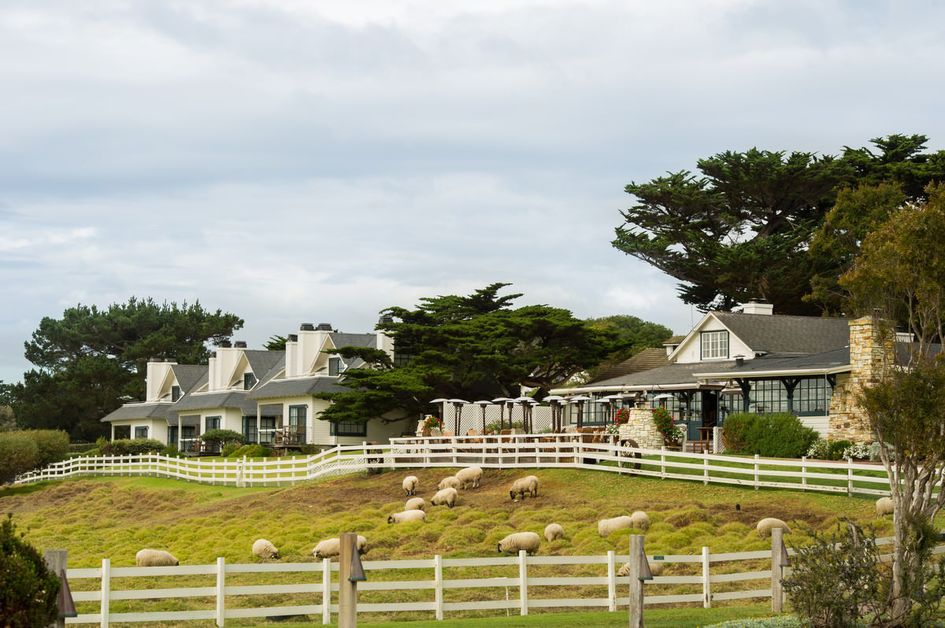 Escape to Hat Creek: Your Northern California Ranch Retreat