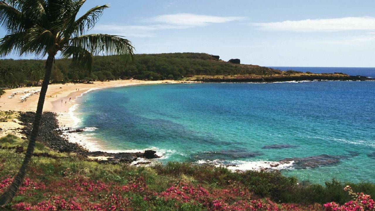 Four Seasons Resort Lanai at Koele