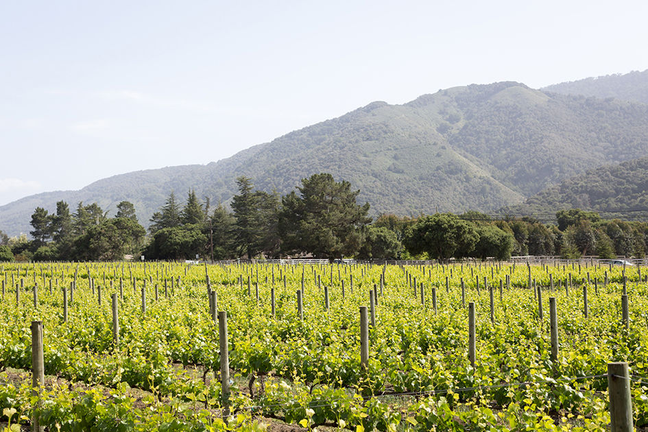 Bernardus Lodge and Spa