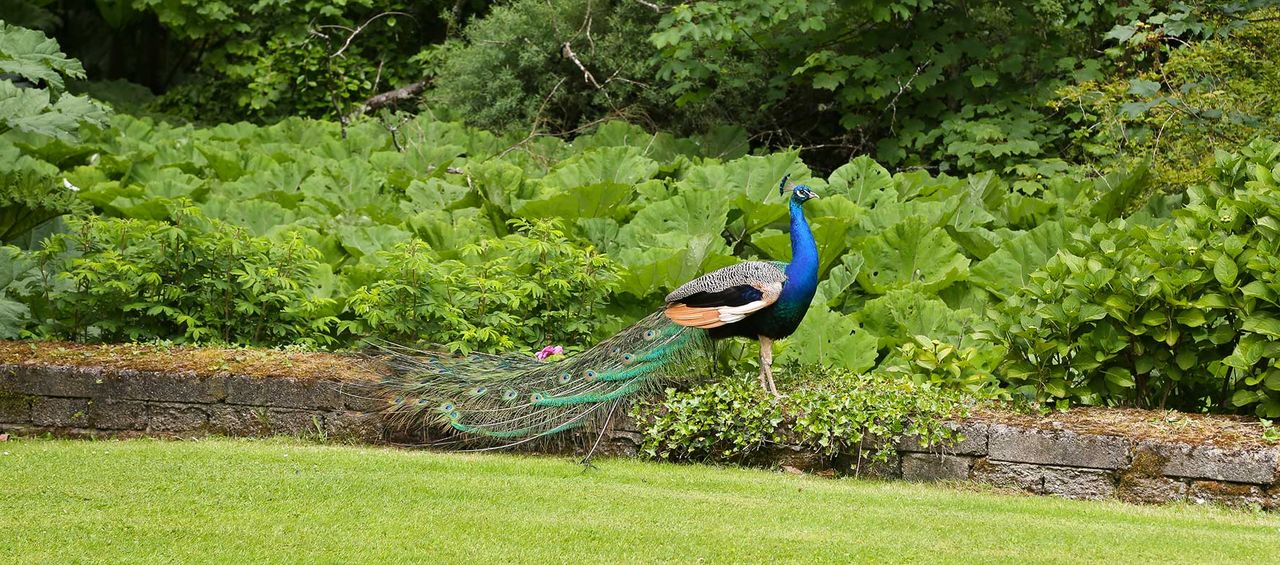 Marlfield House Hotel