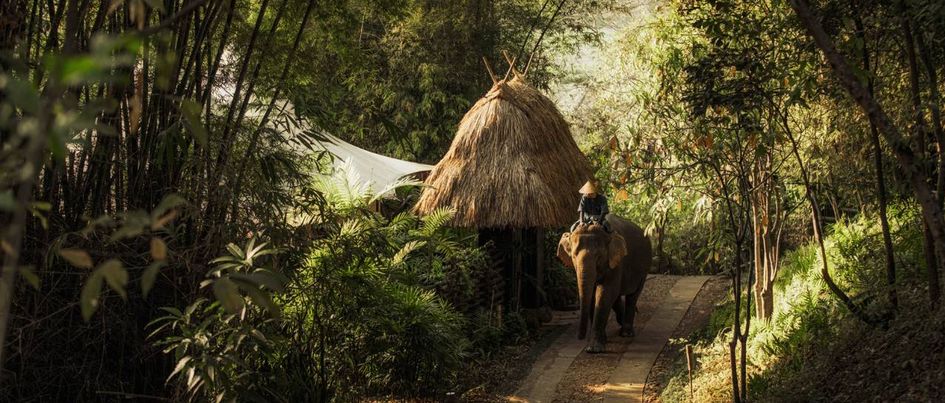 Four Seasons Tented Camp Golden Triangle