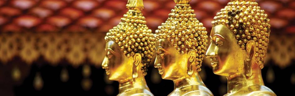 Four Seasons Tented Camp Golden Triangle