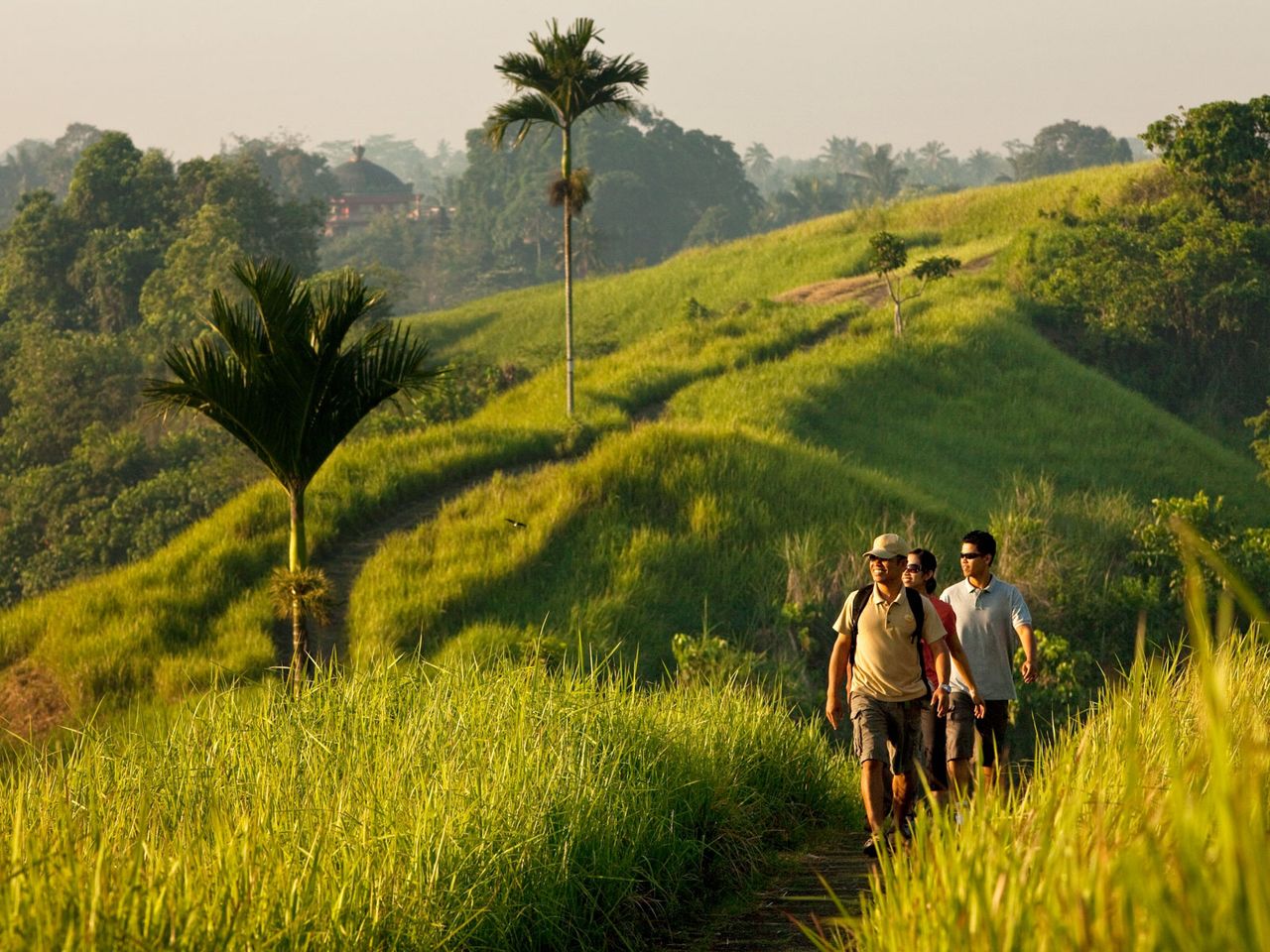 45+ Como Uma Ubud Background