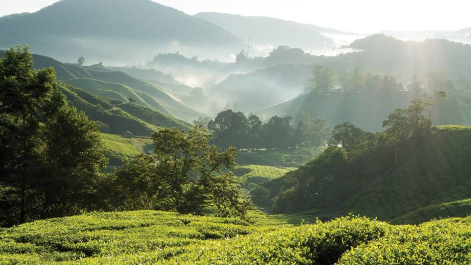 Four Seasons Resort Chiang Mai