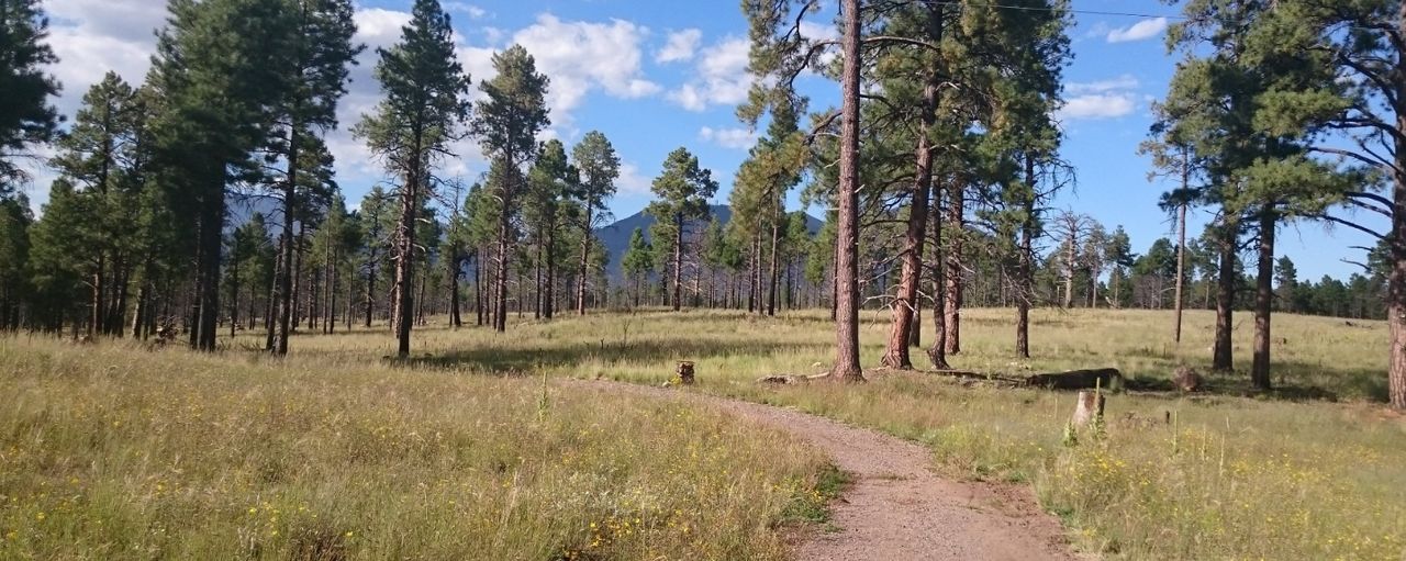 Little America Hotel Flagstaff Flagstaff  Arizona