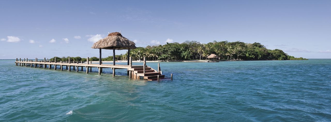 Dolphin Island Fiji Reviews Dolphin Island Fiji Reviews