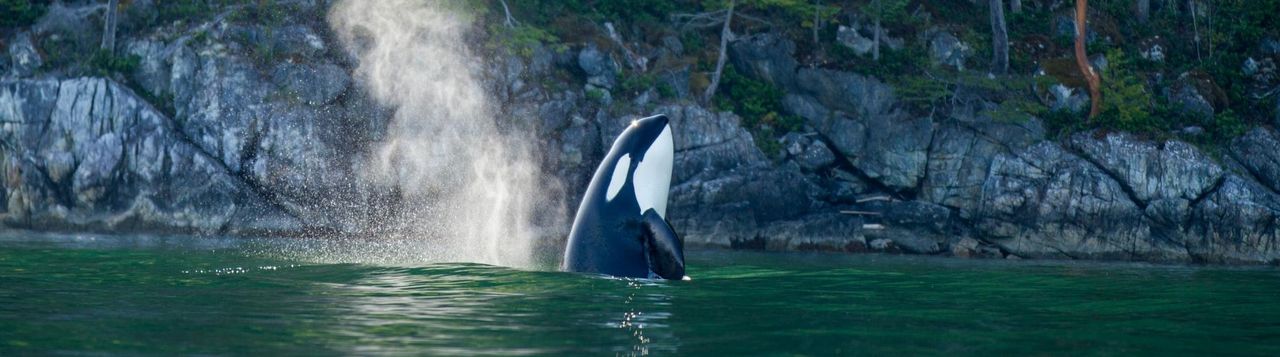 Nimmo Bay Wilderness Resort