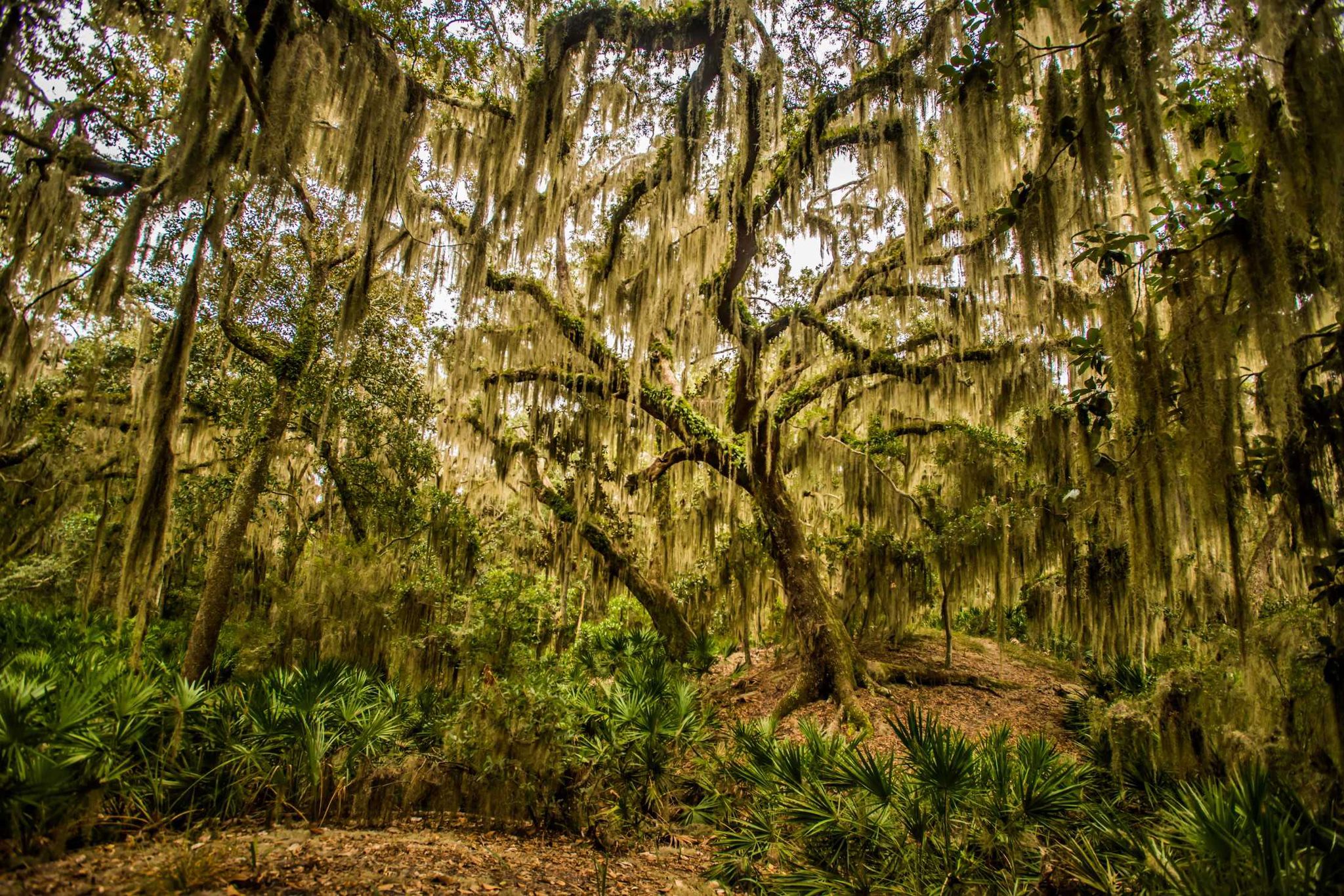 The Lodge on Little St. Simons Island