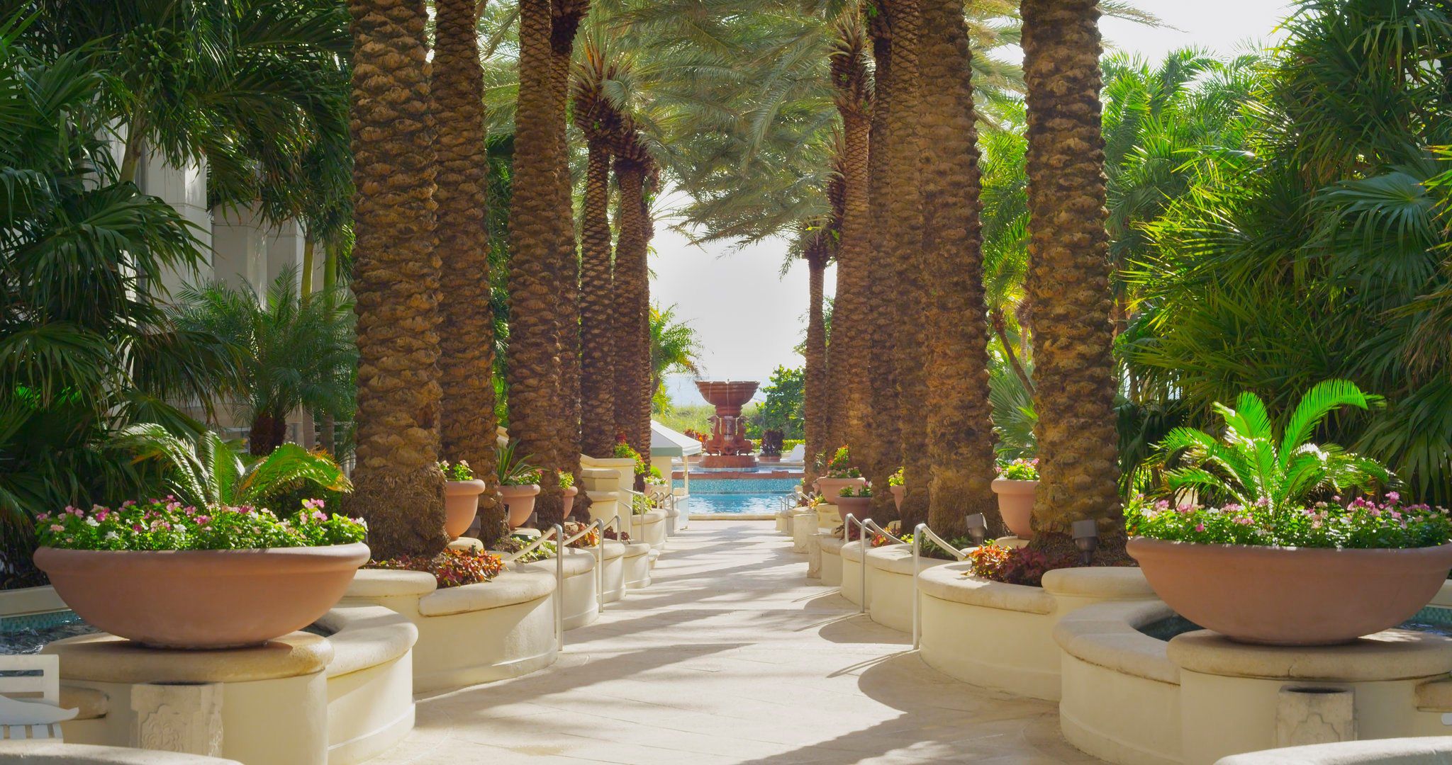 Four Star Hotels Miami Beach Four Star Hotels Miami Beach