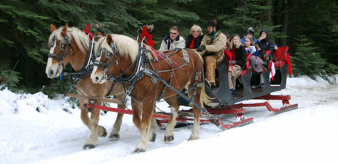 Tenaya Lodge at Yosemite