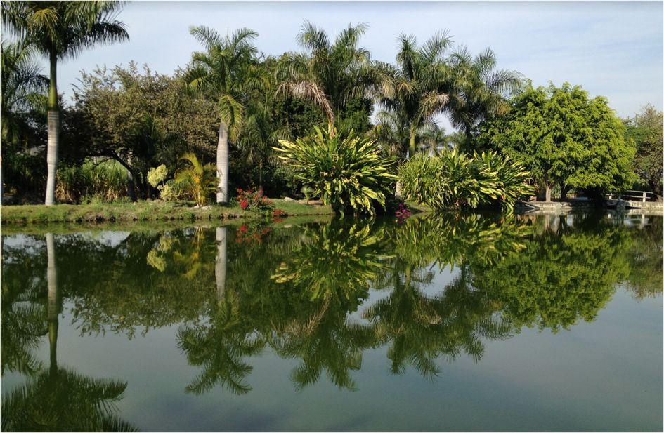 Hacienda San Gabriel de las Palmas