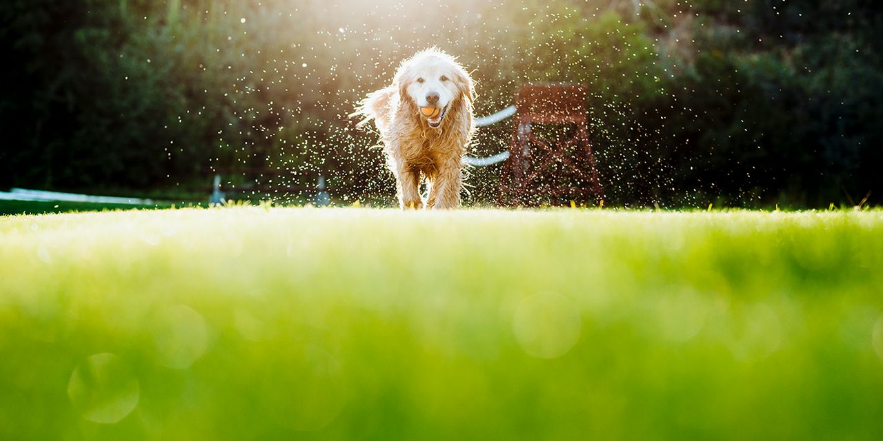 Limelight Hotel Ketchum