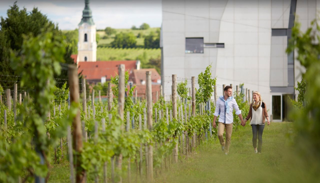 Loisium Wine & Spa Resort Langenlois