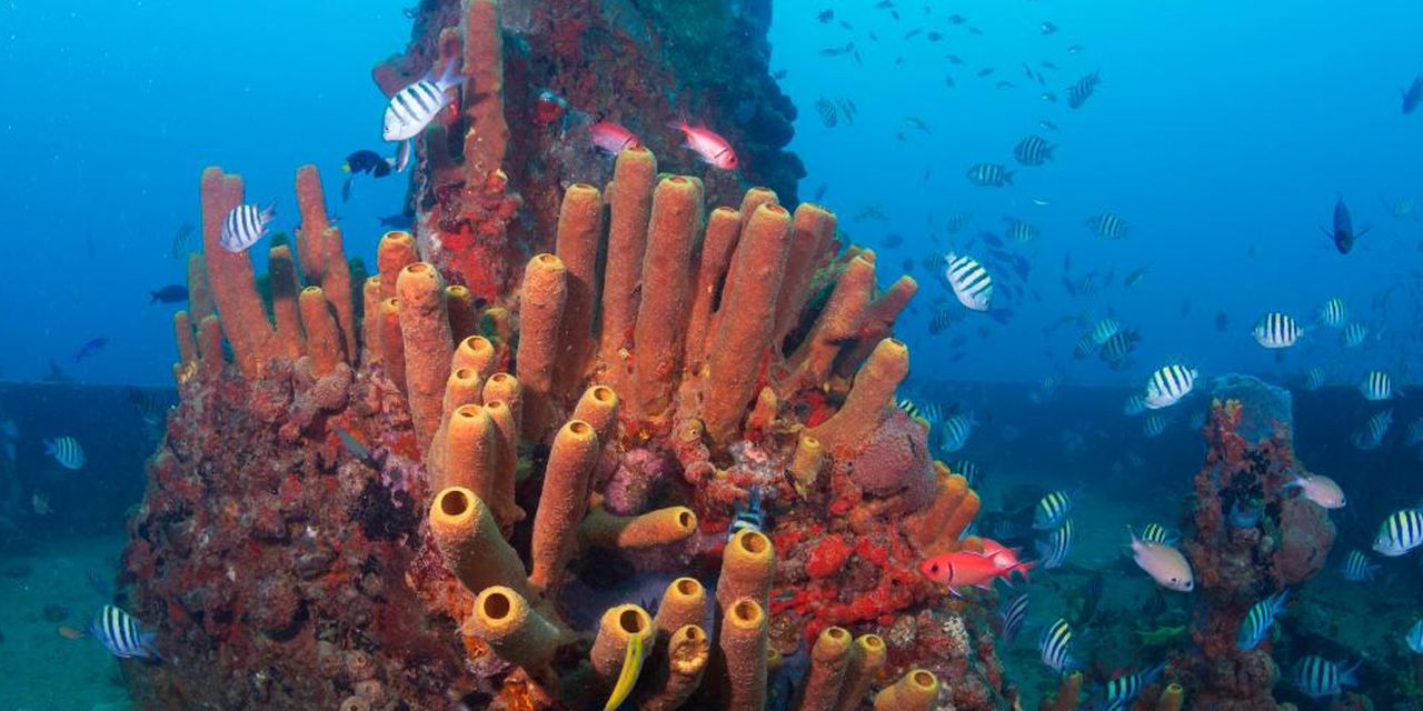 Ti Kaye Resort & Spa