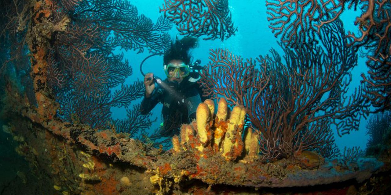 Ti Kaye Resort & Spa