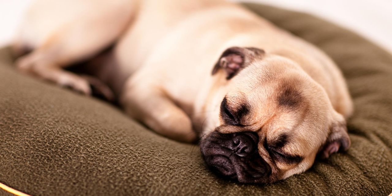 The Fairmont Olympic Hotel, Seattle