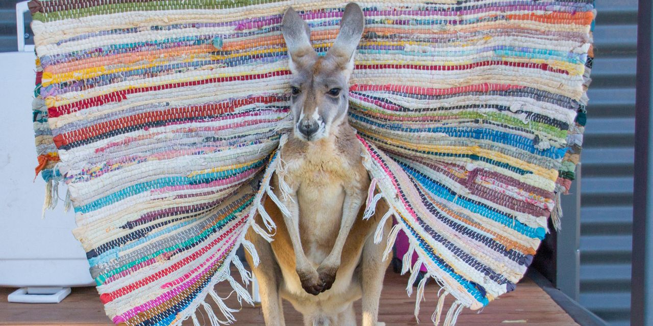 Sal Salis Ningaloo Reef
