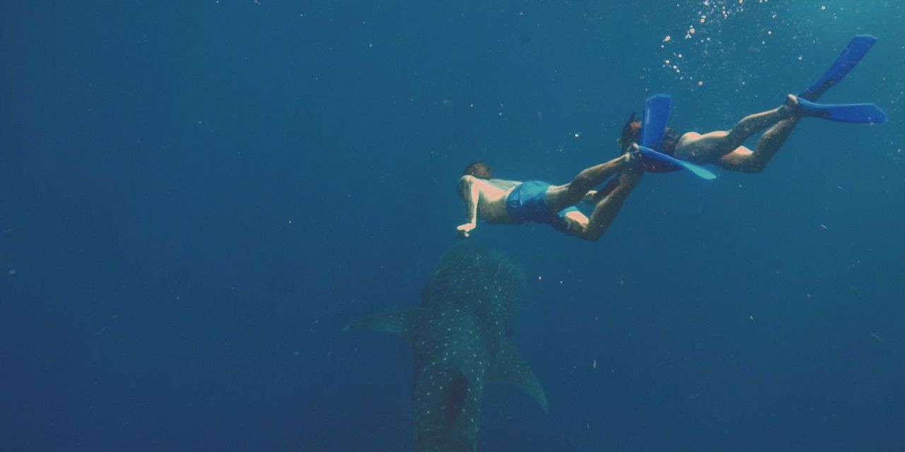 Sal Salis Ningaloo Reef