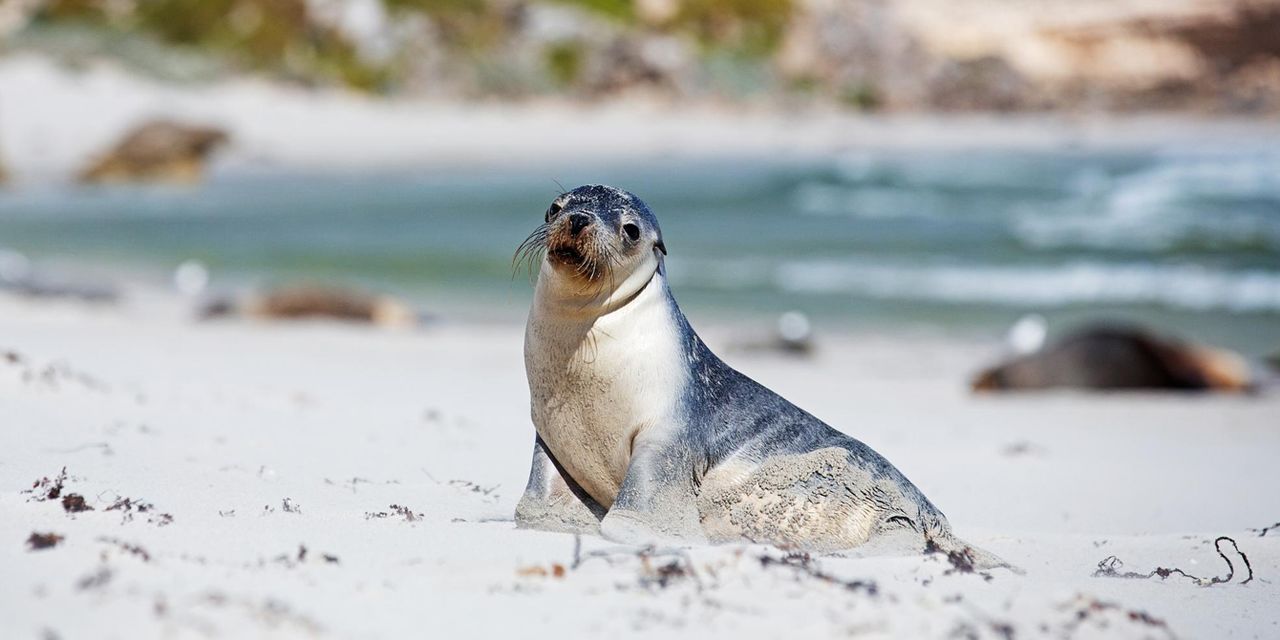 Southern Ocean Lodge