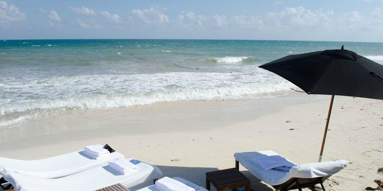 Pet Friendly Hotels Playa Del Carmen Pet Friendly Hotels Playa Del Carmen