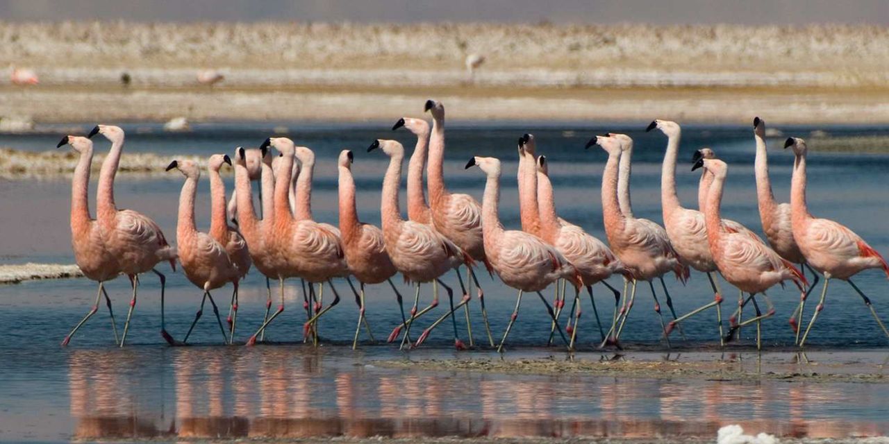 Tierra Atacama Hotel and Spa