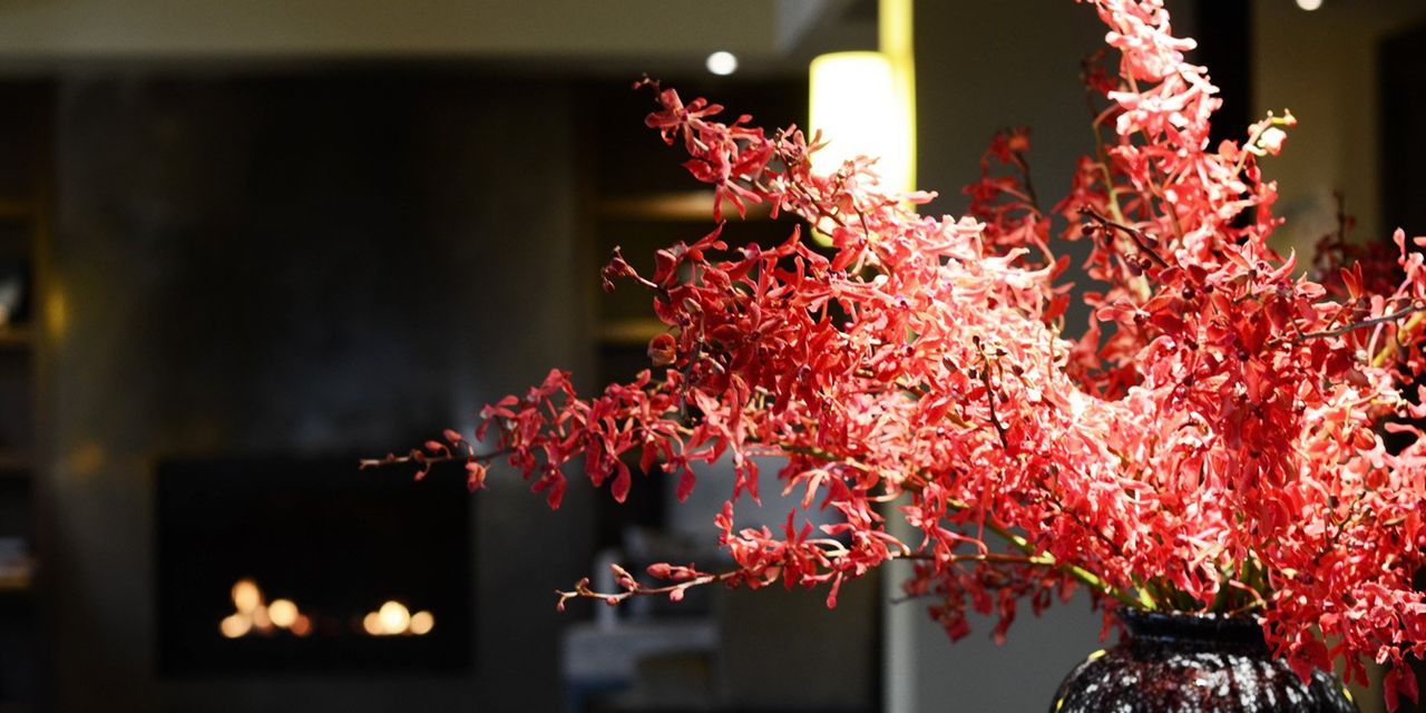 The Lyall Hotel and Spa