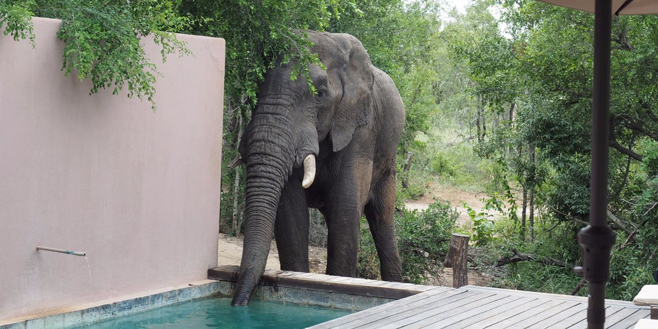 Honeyguide Tented Safari Camps