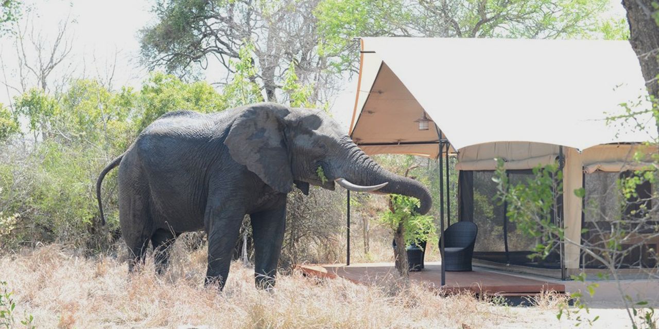 Honeyguide Tented Safari Camps