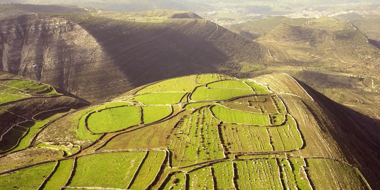 Cooking and Nature - Emotional Hotel