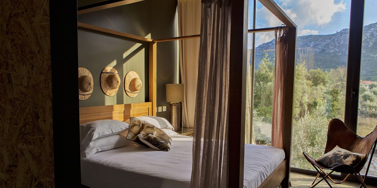 Cooking and Nature - Emotional Hotel