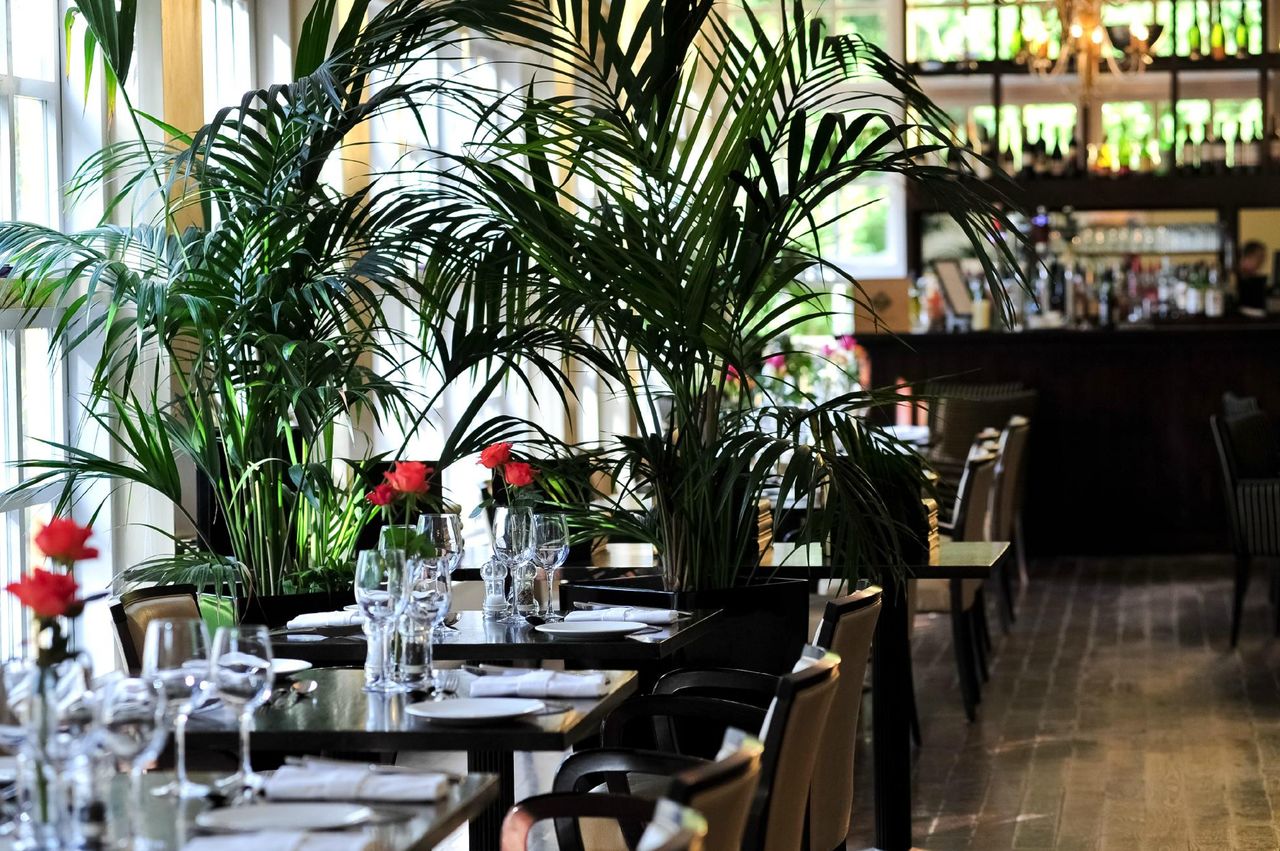 Athenaeum House Hotel