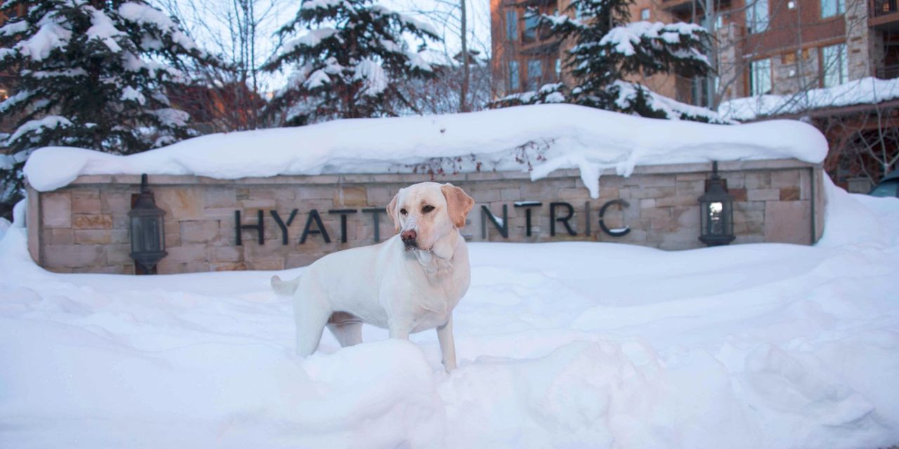 Hyatt Centric Park City in Park City, Utah Hyatt Centric Park City in Park City, Utah